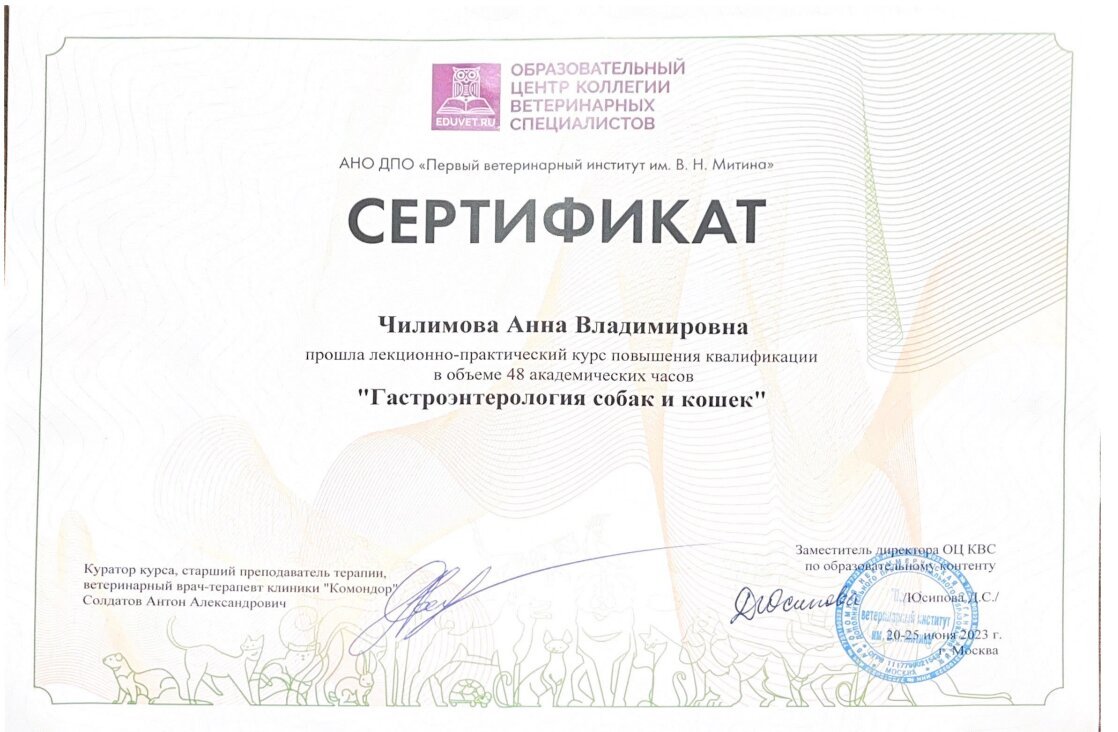 Документ или сертификат