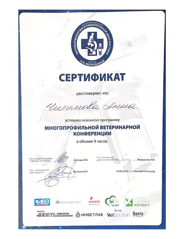 Документ или сертификат