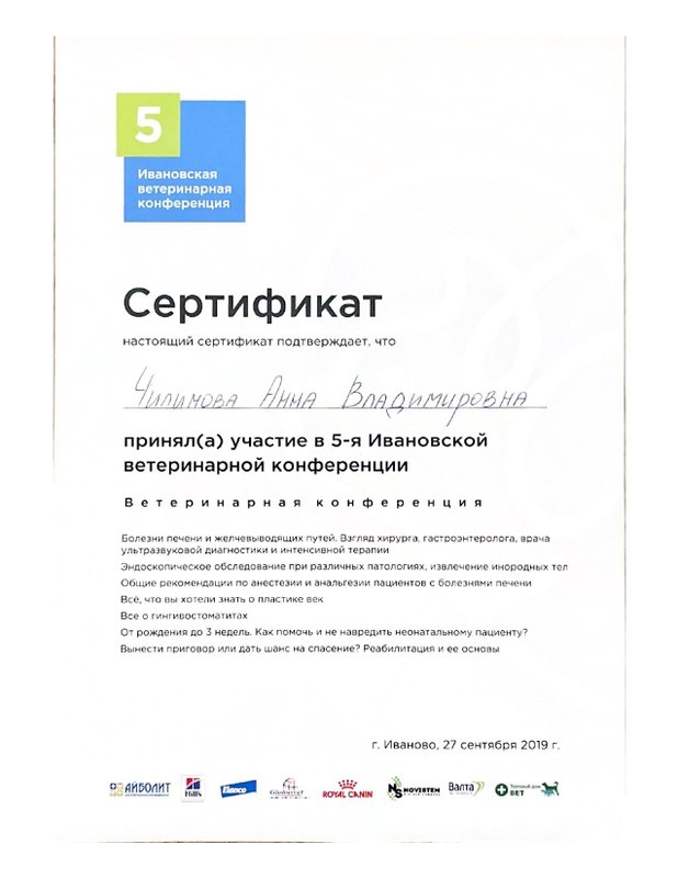 Документ или сертификат