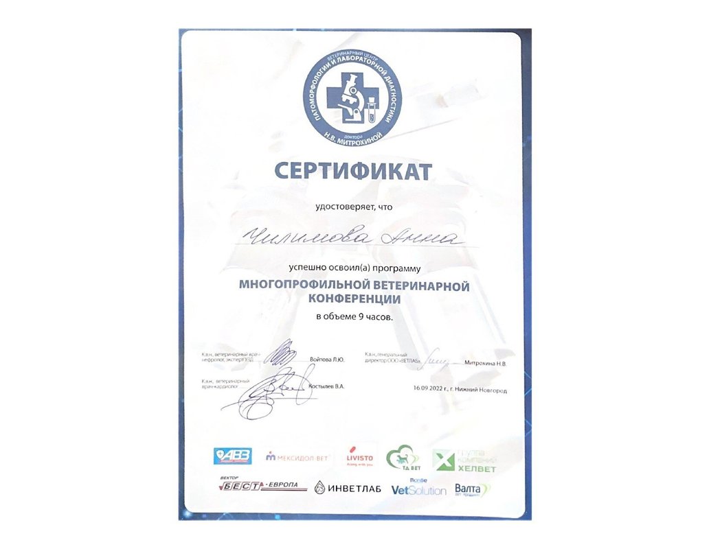 Документ или сертификат