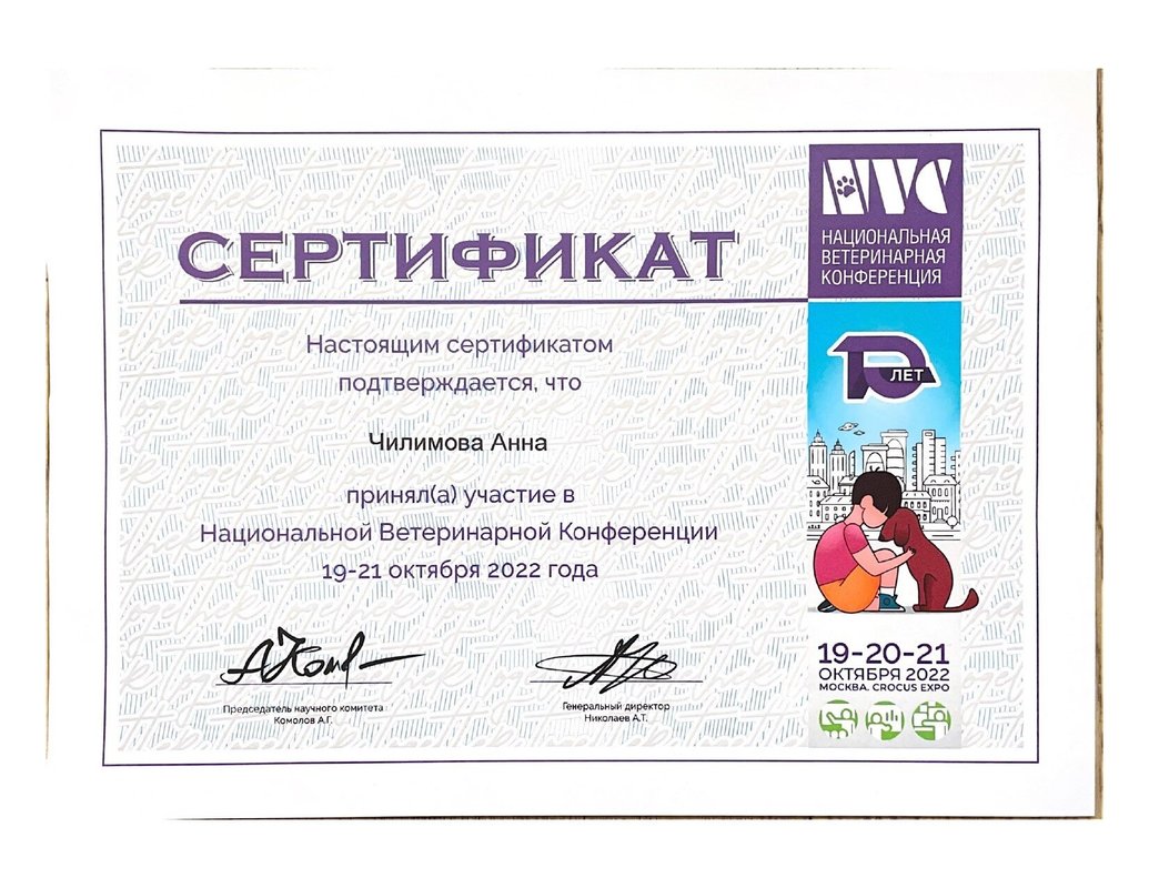Документ или сертификат