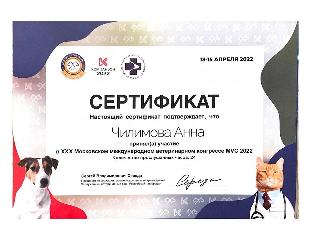 Документ или сертификат