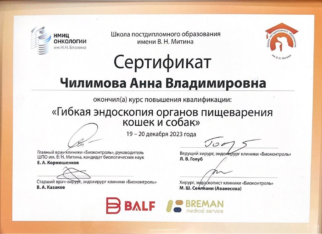Документ или сертификат