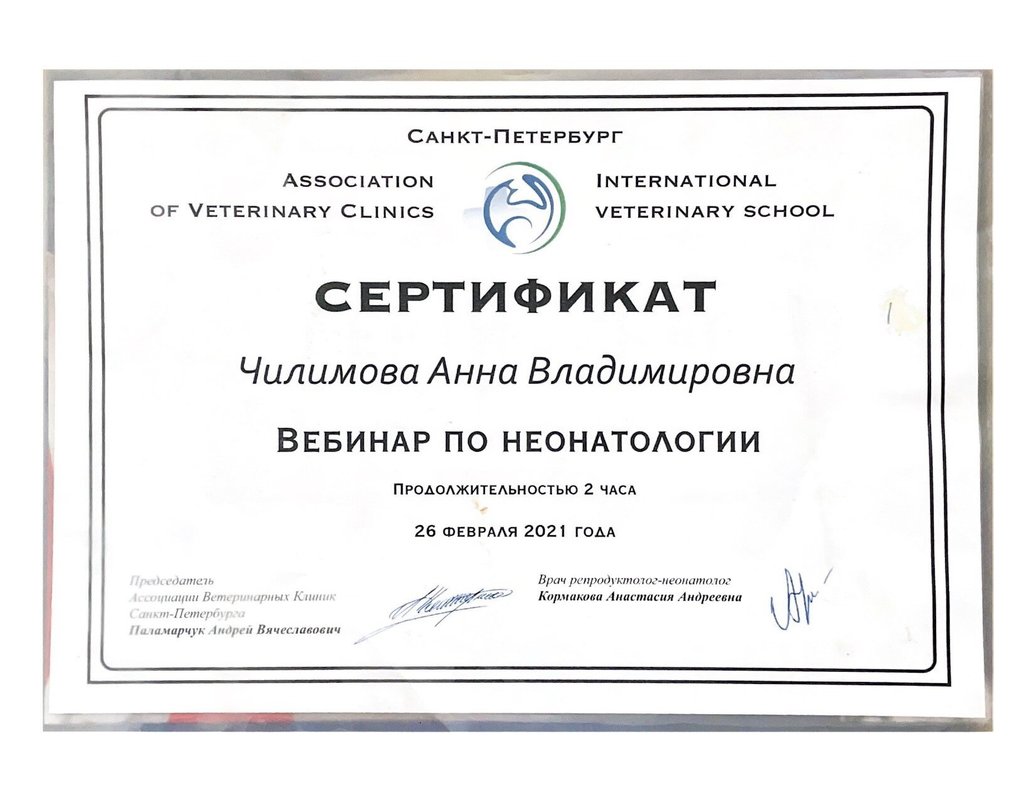 Документ или сертификат