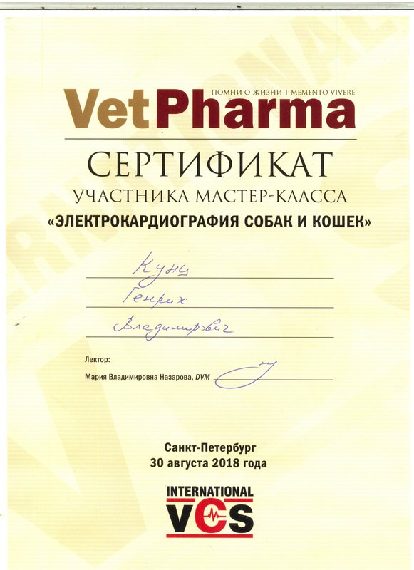 Документ или сертификат
