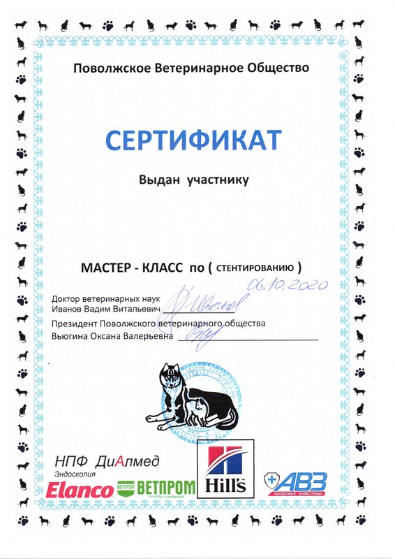 Документ или сертификат
