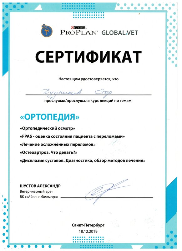 Документ или сертификат