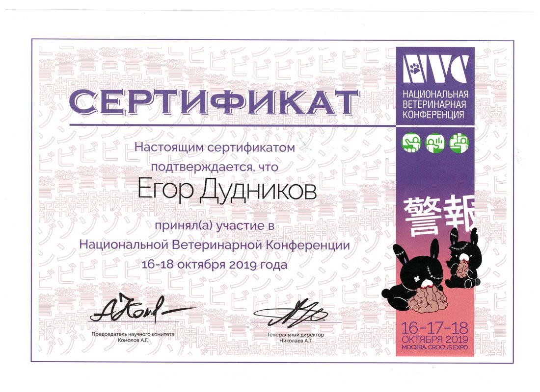 Документ или сертификат