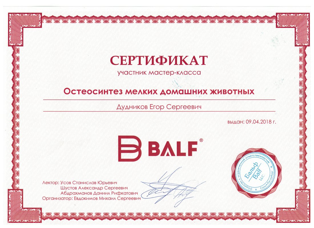 Документ или сертификат