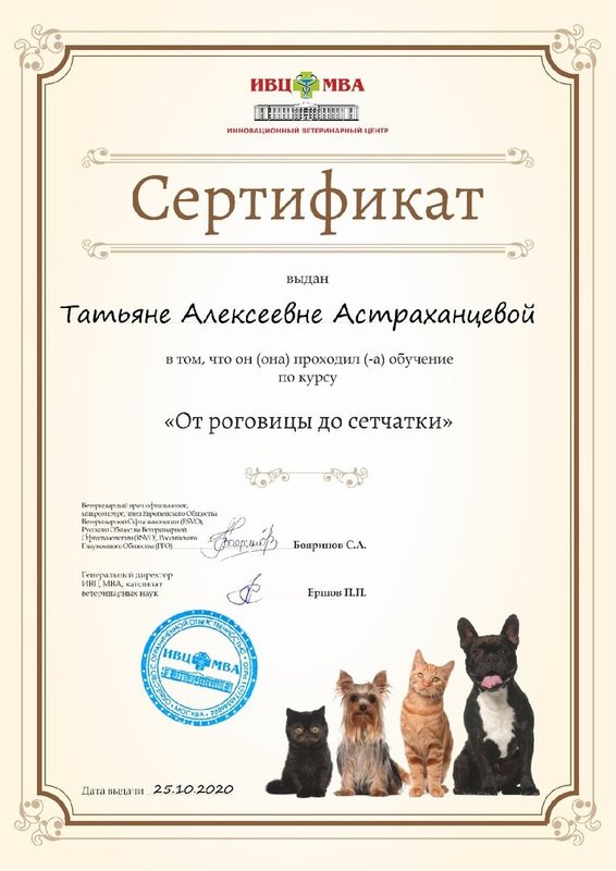 Документ или сертификат