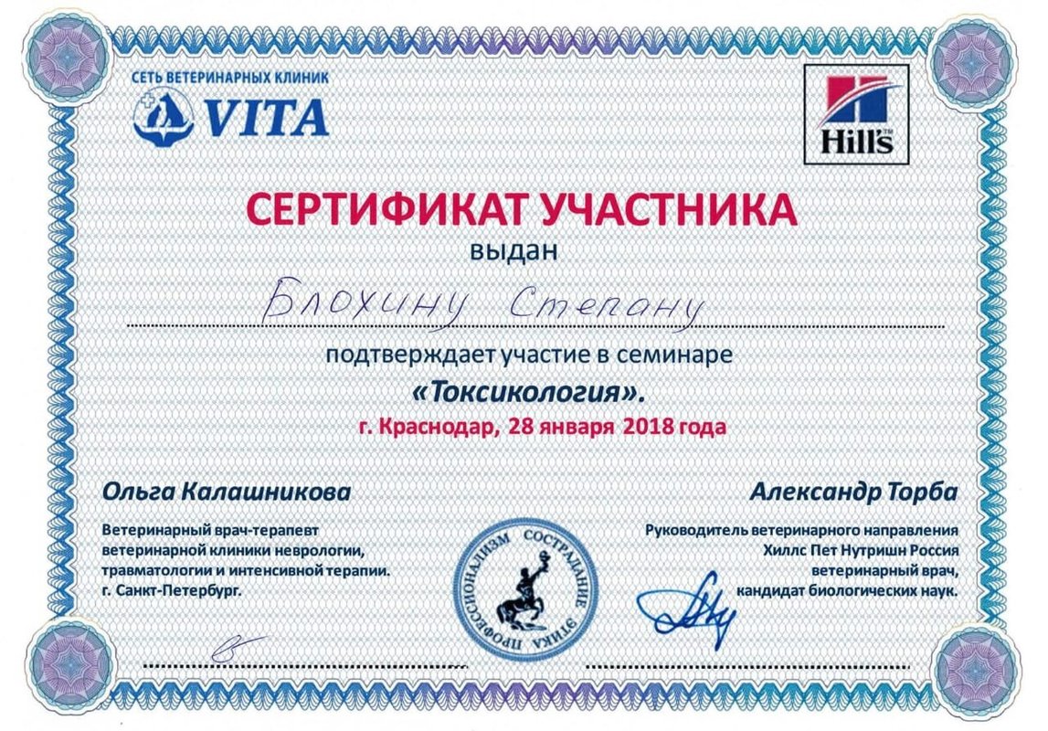 Документ или сертификат