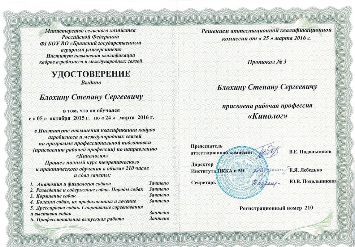 Документ или сертификат