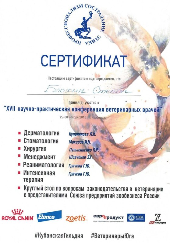 Документ или сертификат