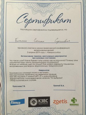 Документ или сертификат