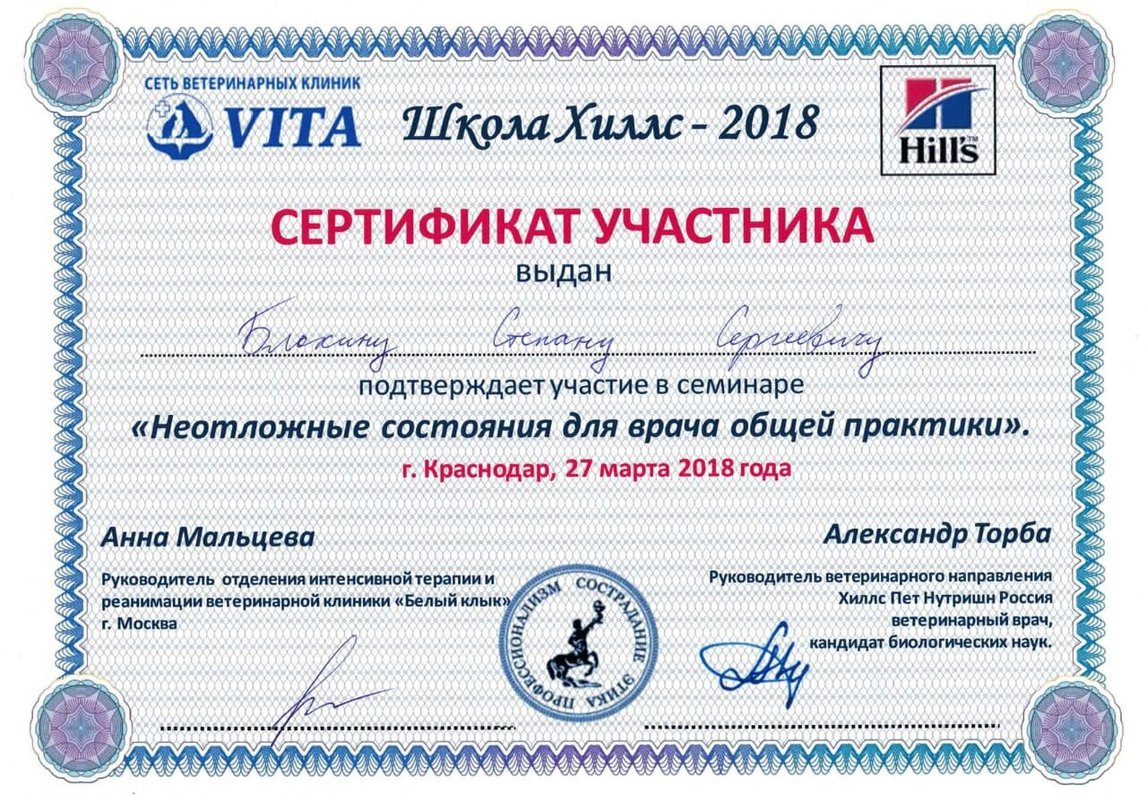 Документ или сертификат