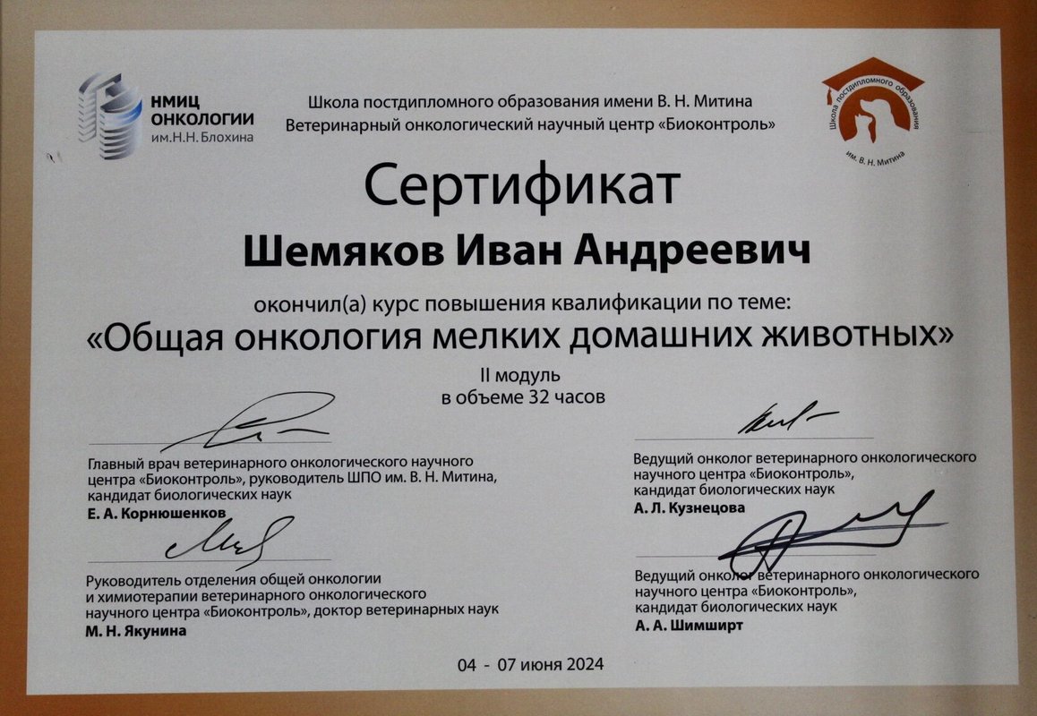 Документ или сертификат