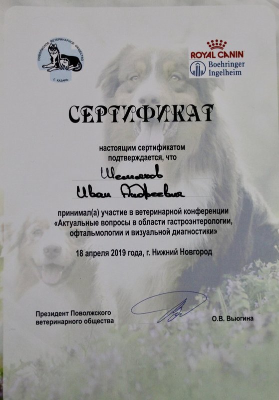 Документ или сертификат