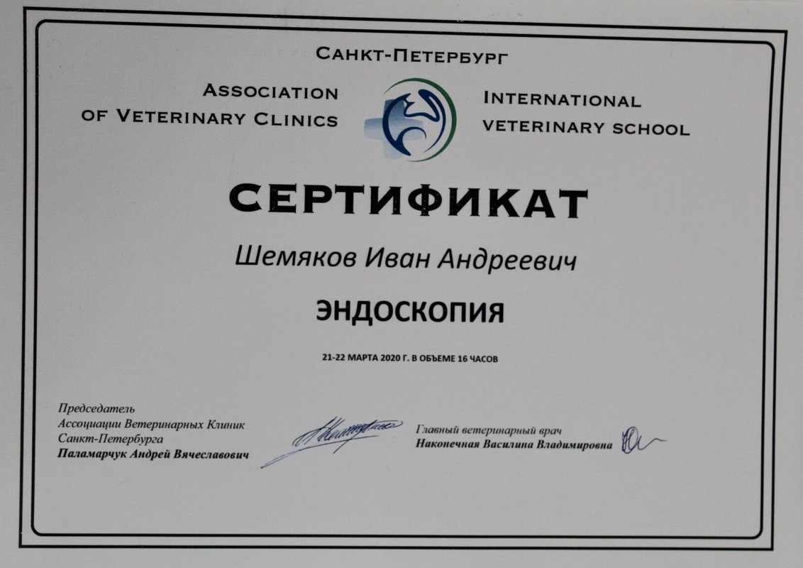Документ или сертификат