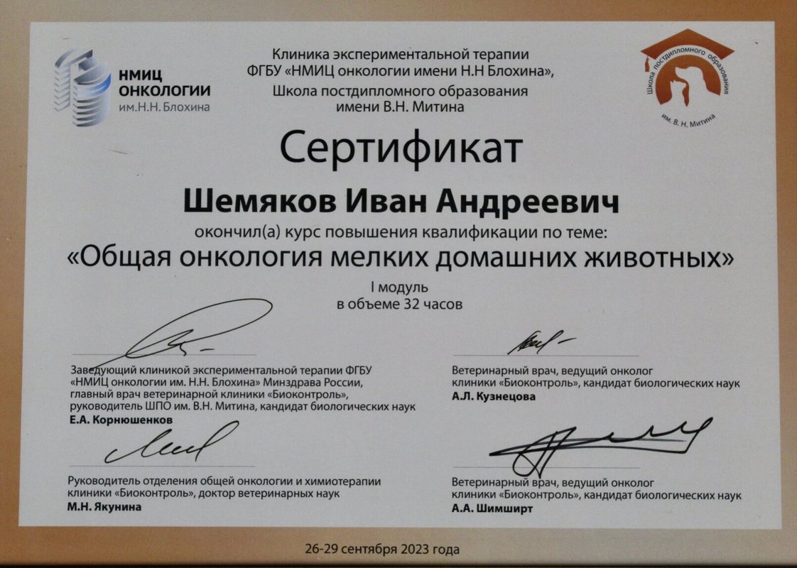 Документ или сертификат