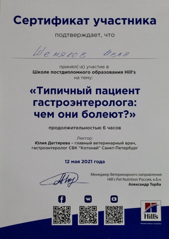 Документ или сертификат
