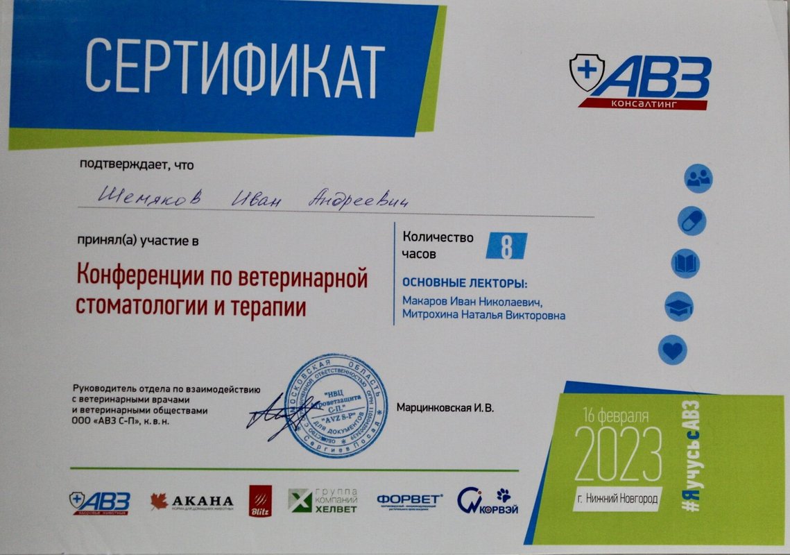 Документ или сертификат