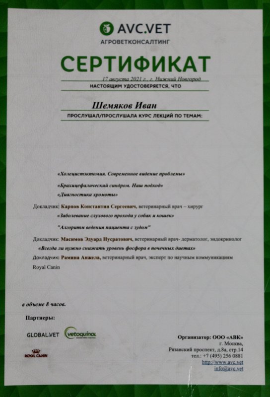 Документ или сертификат