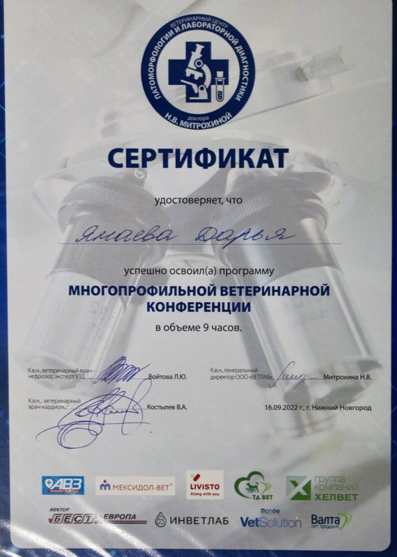 Документ или сертификат