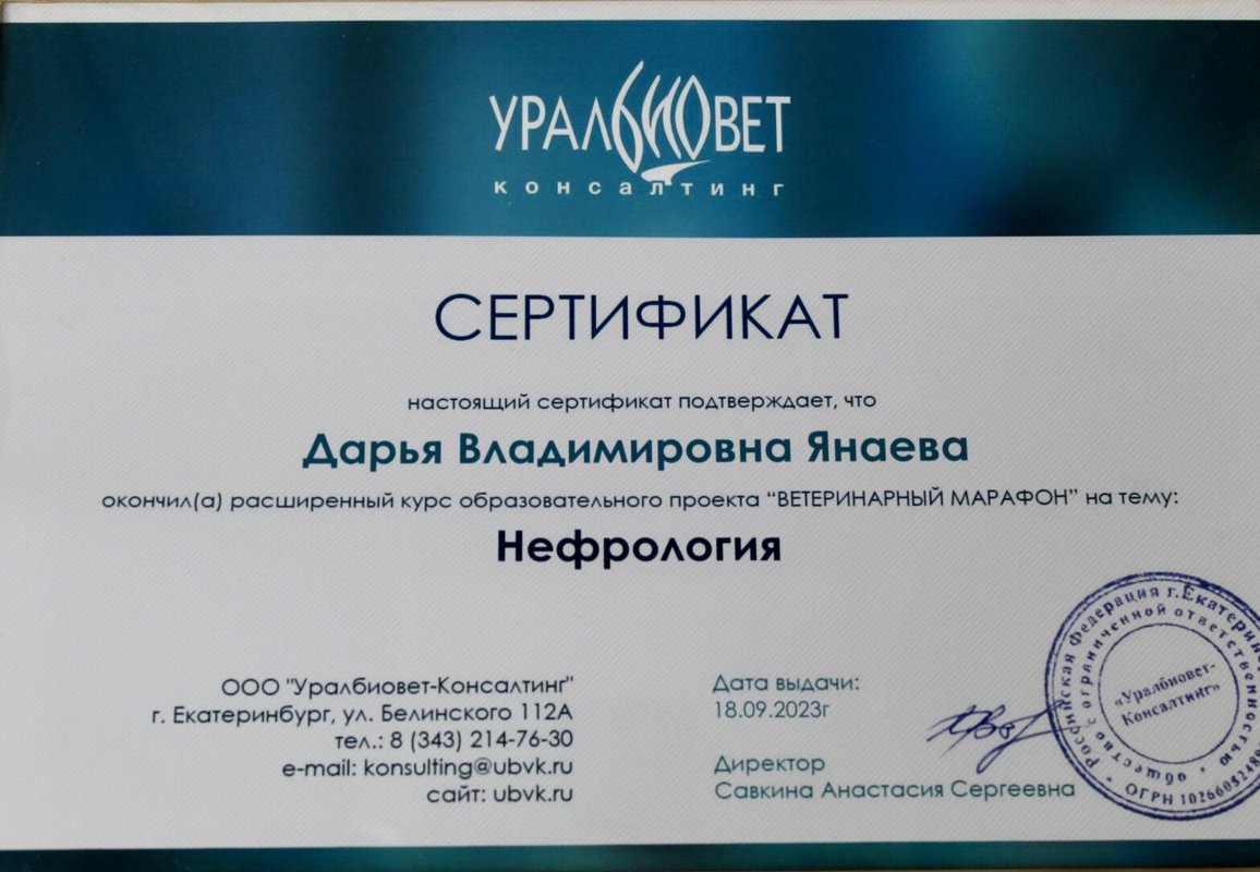 Документ или сертификат