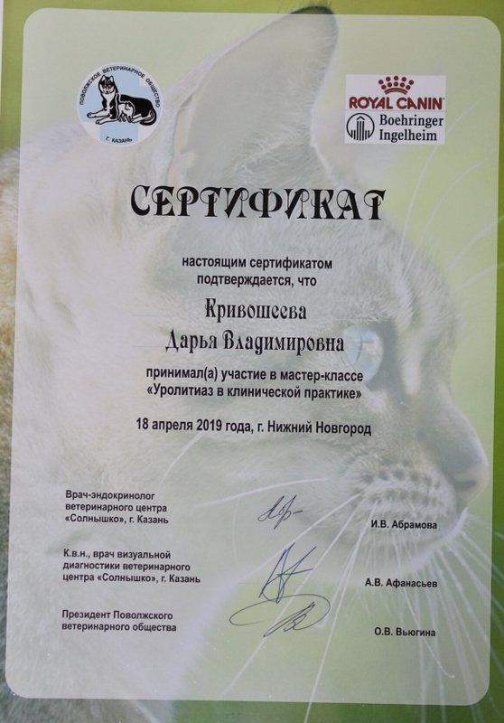 Документ или сертификат