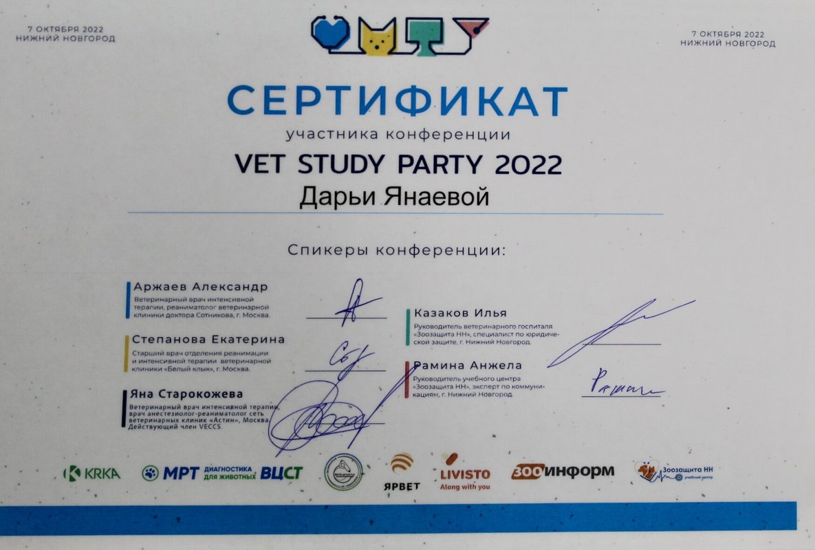 Документ или сертификат