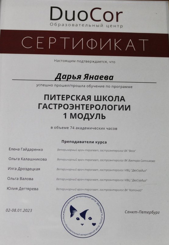 Документ или сертификат