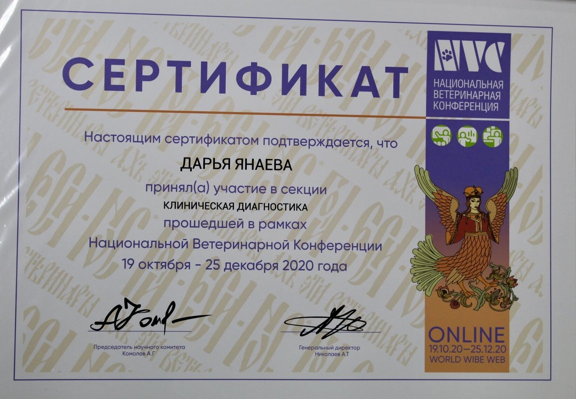 Документ или сертификат