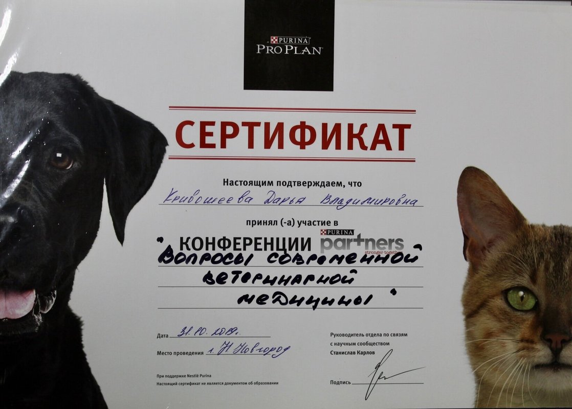 Документ или сертификат
