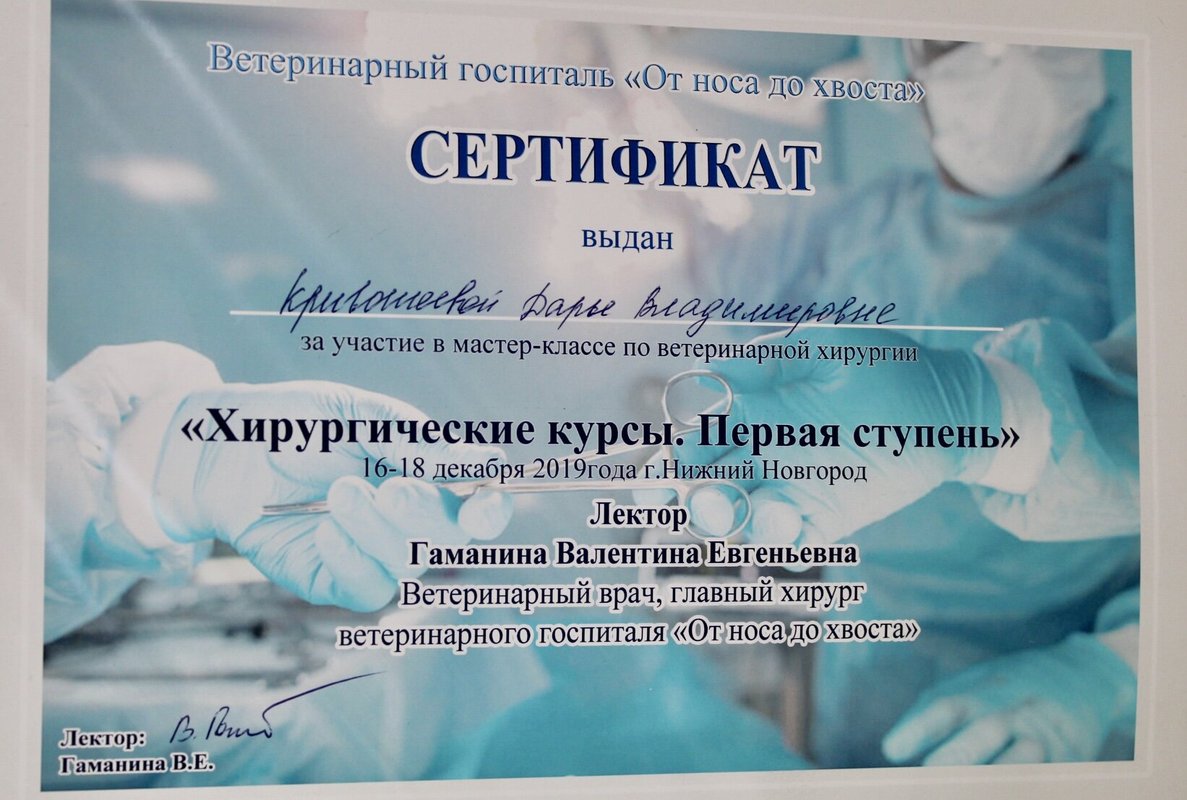 Документ или сертификат