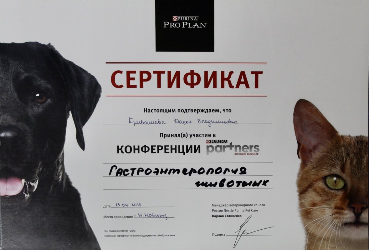Документ или сертификат