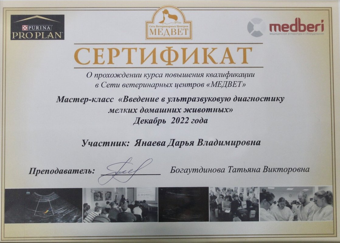 Документ или сертификат