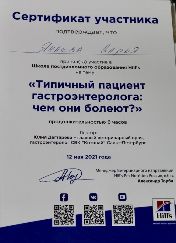 Документ или сертификат