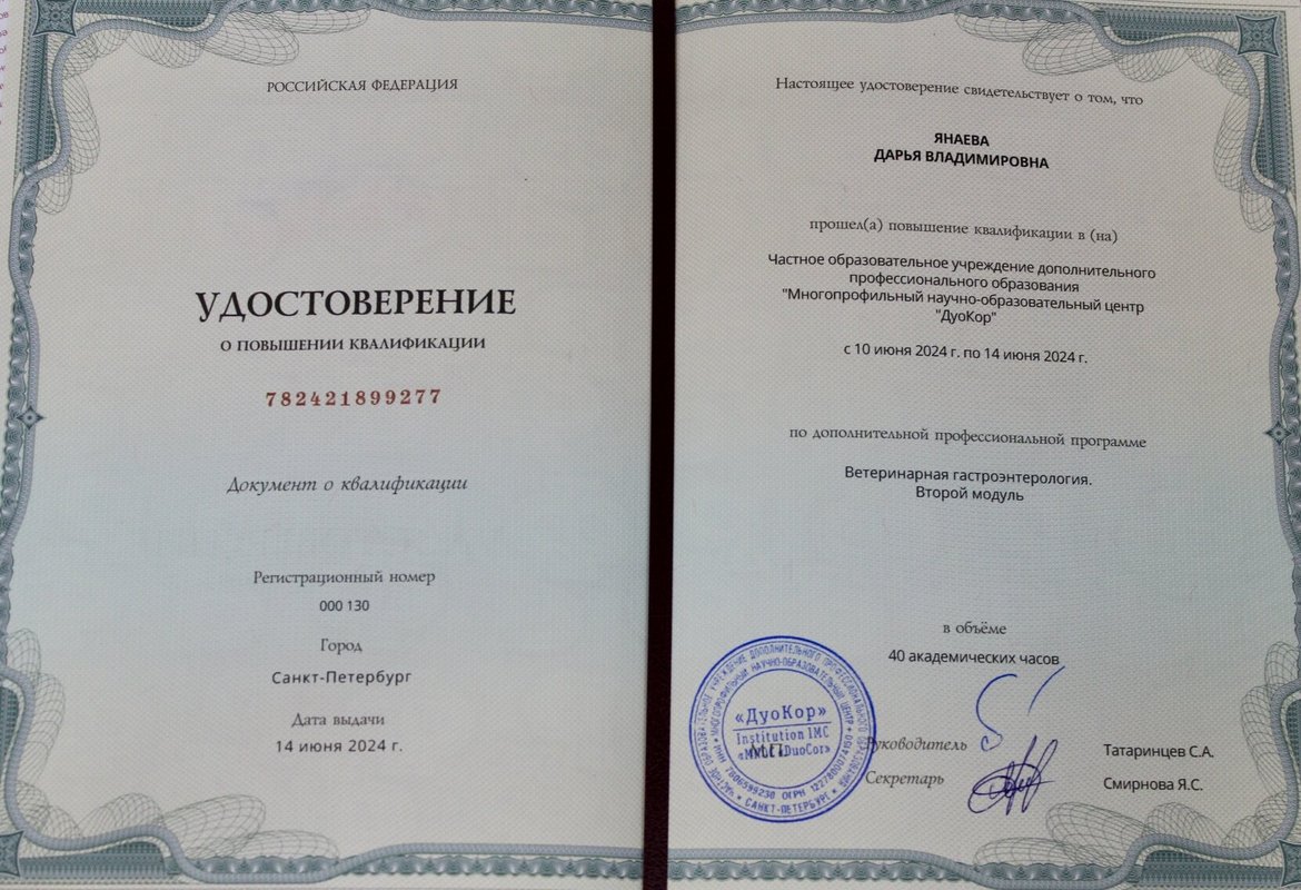 Документ или сертификат