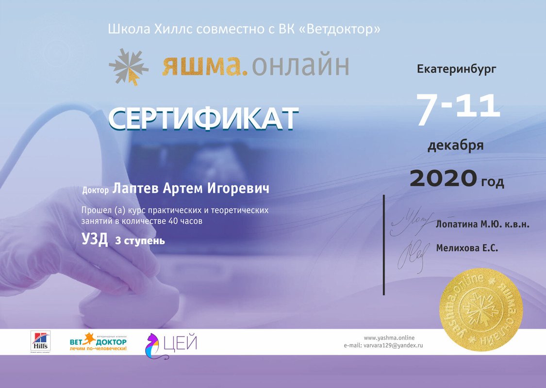 Документ или сертификат