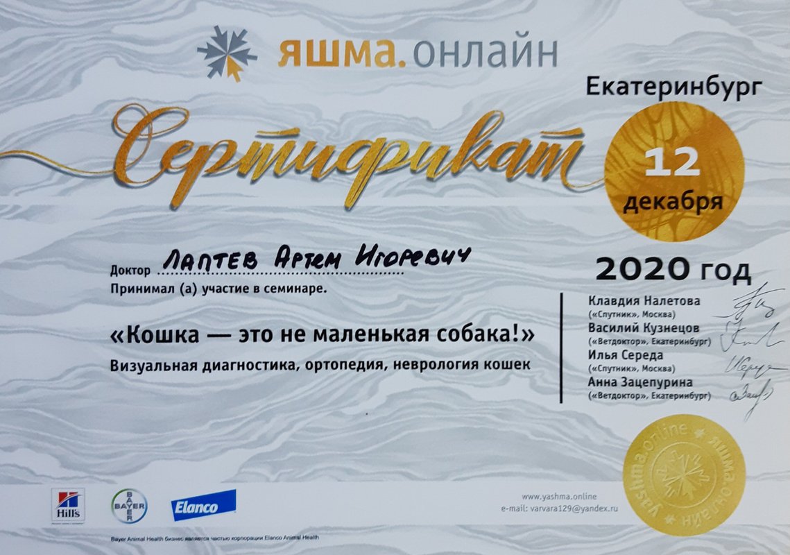 Документ или сертификат