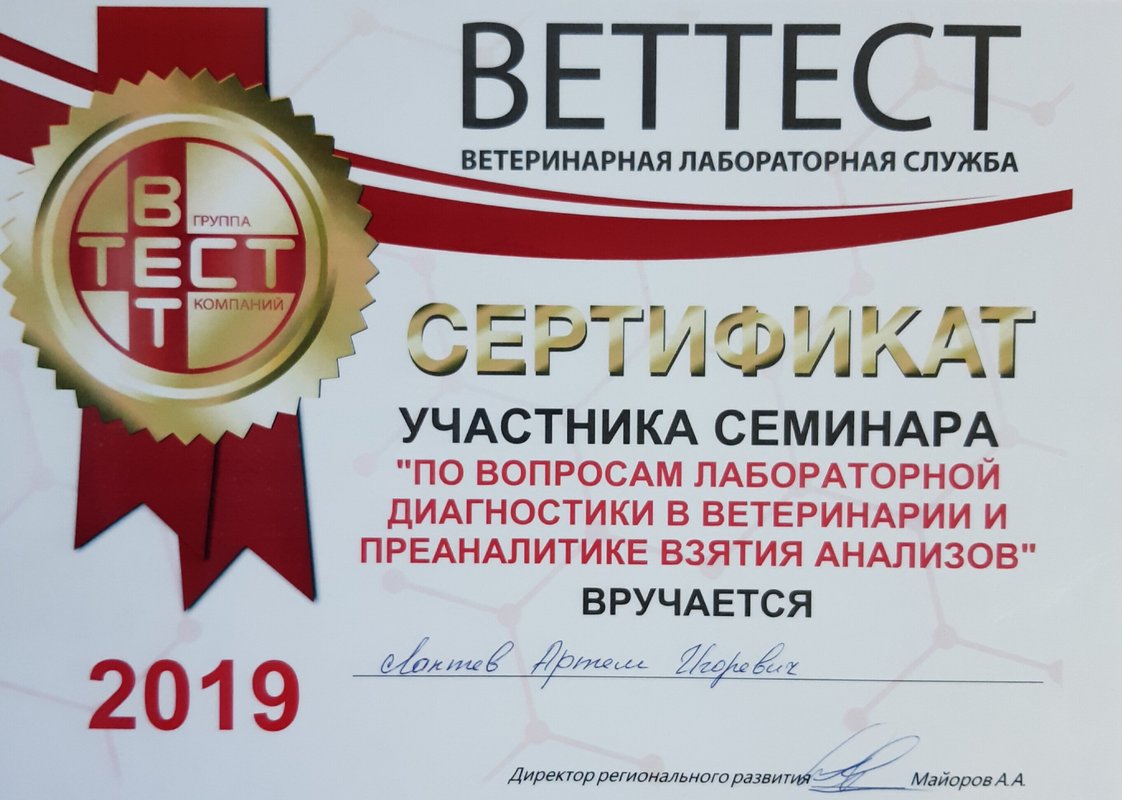Документ или сертификат
