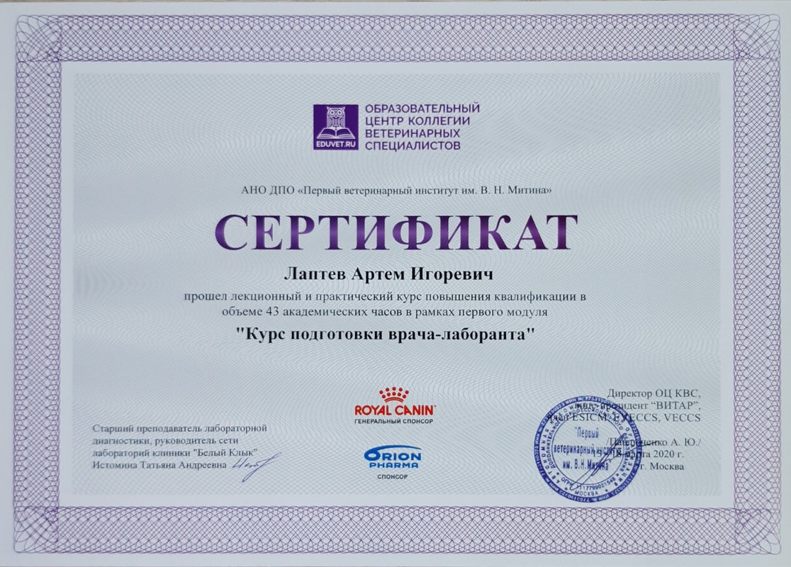 Документ или сертификат