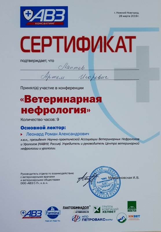 Документ или сертификат