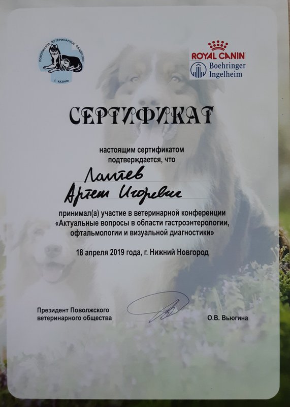 Документ или сертификат