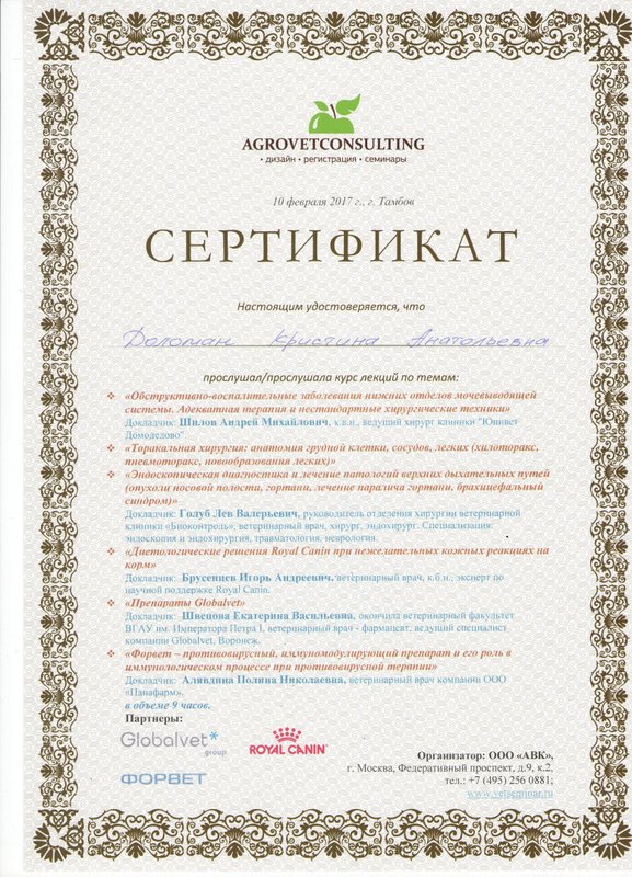 Документ или сертификат