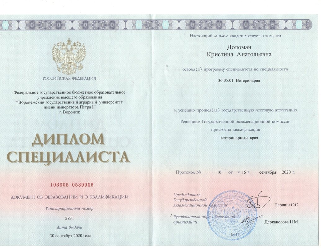Документ или сертификат