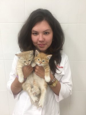 Фото врача Полежаева Альфия Рамильевна