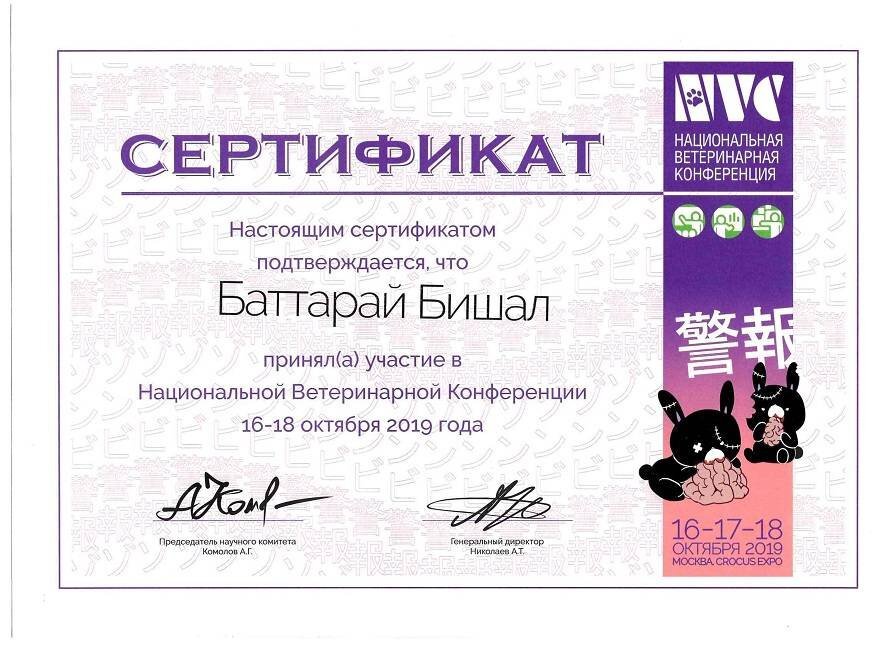 Документ или сертификат