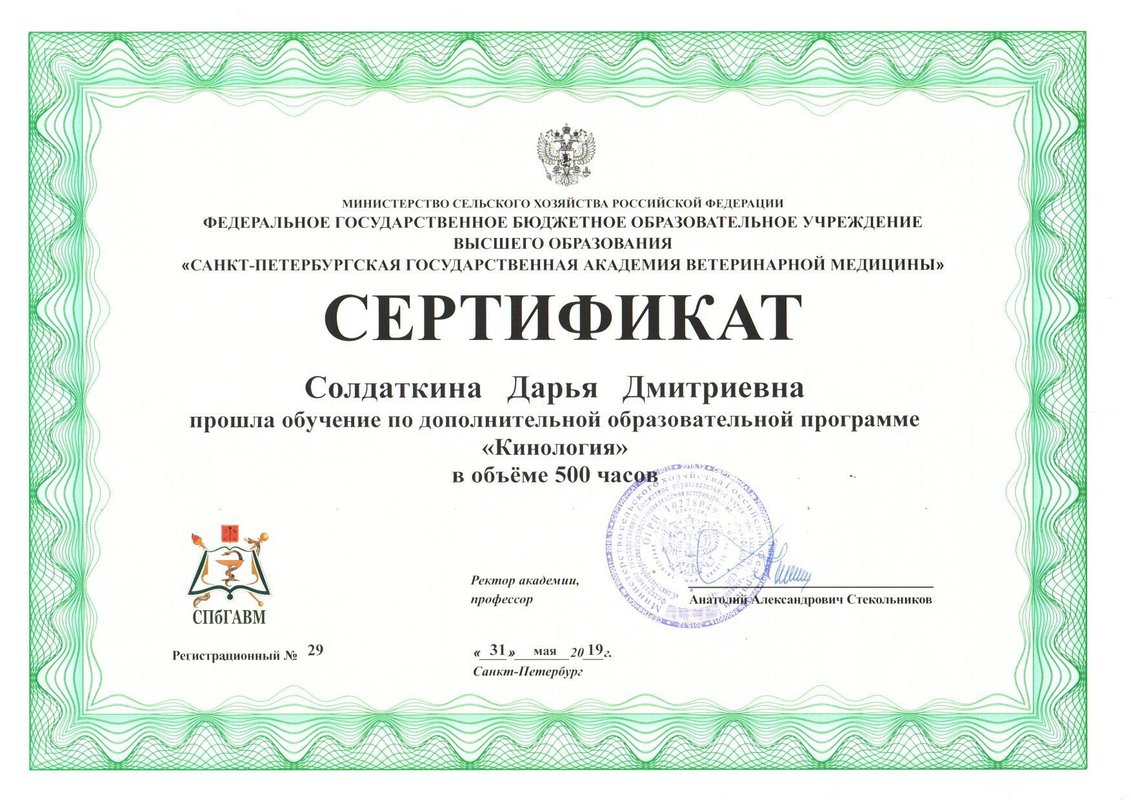 Документ или сертификат