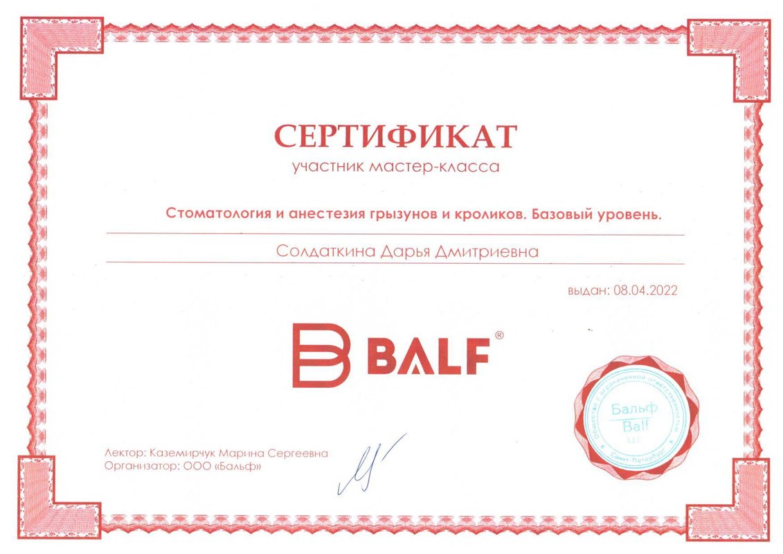 Документ или сертификат